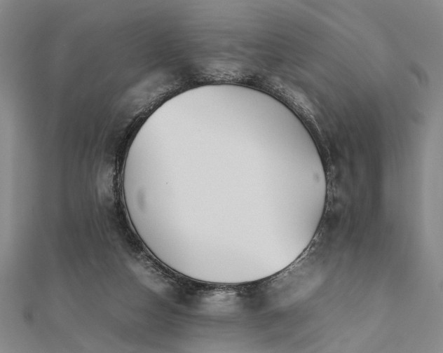 X0000112470162200908241240