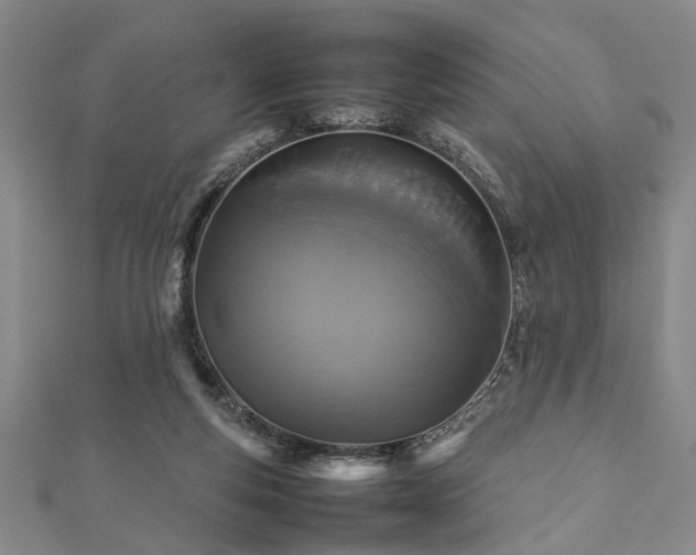 X0000112470163200908241240