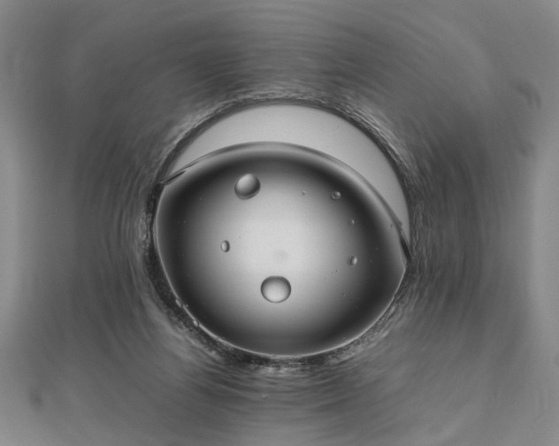 X0000112470164200908241240