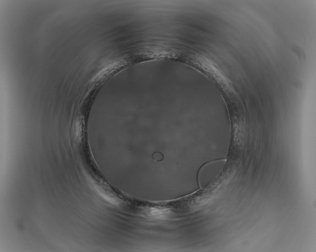 X0000112470165200908241240