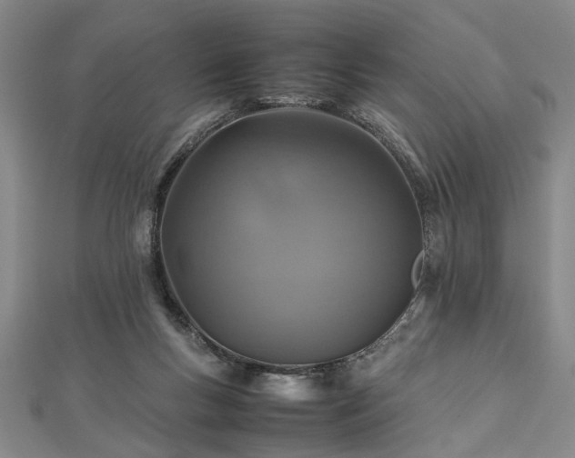 X0000112470167200908241240