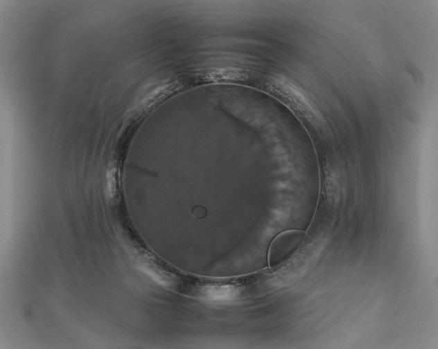 X0000112470169200908241240