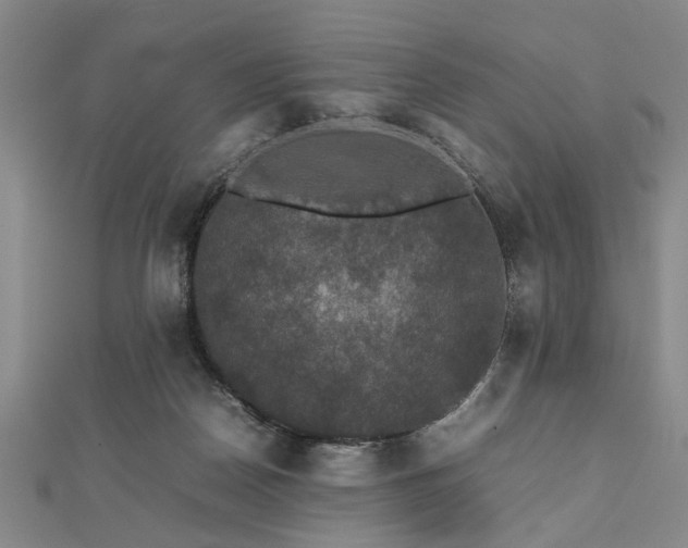 X0000112470170200908241240