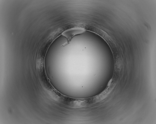 X0000112470172200908241240