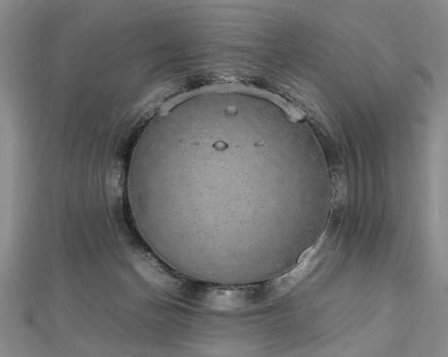 X0000112470174200908241240