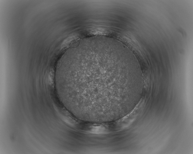 X0000112470175200908241240