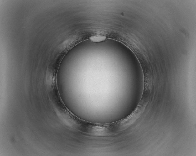 X0000112470176200908241240