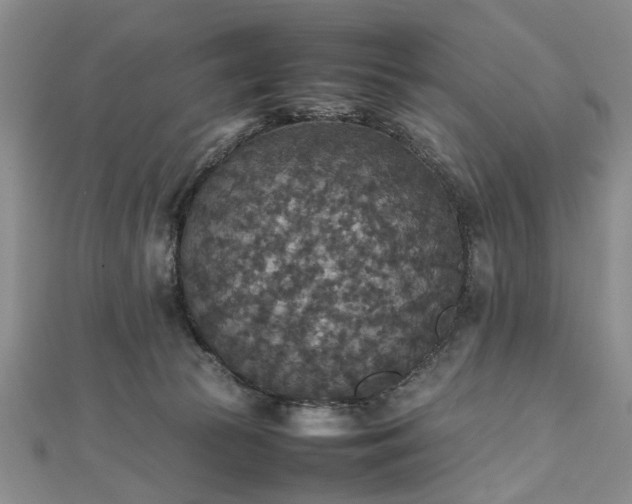 X0000112470177200908241240