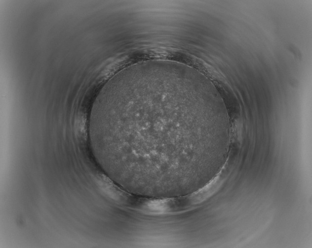 X0000112470178200908241240