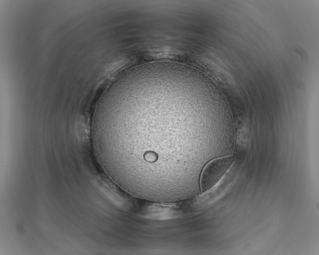 X0000112470179200908241240