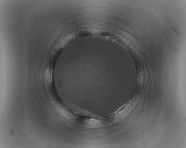 X0000112470180200908241240