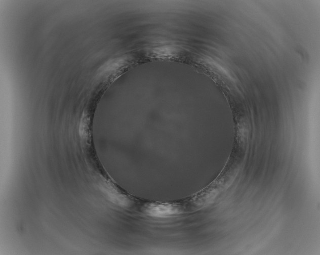 X0000112470181200908241240