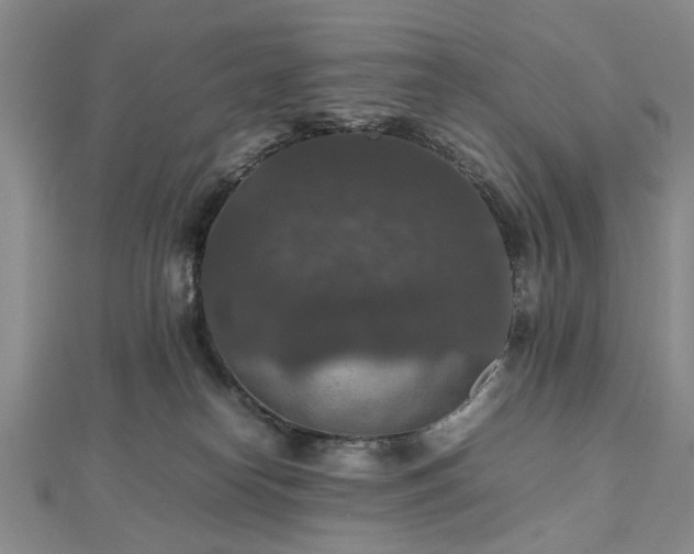 X0000112470182200908241240