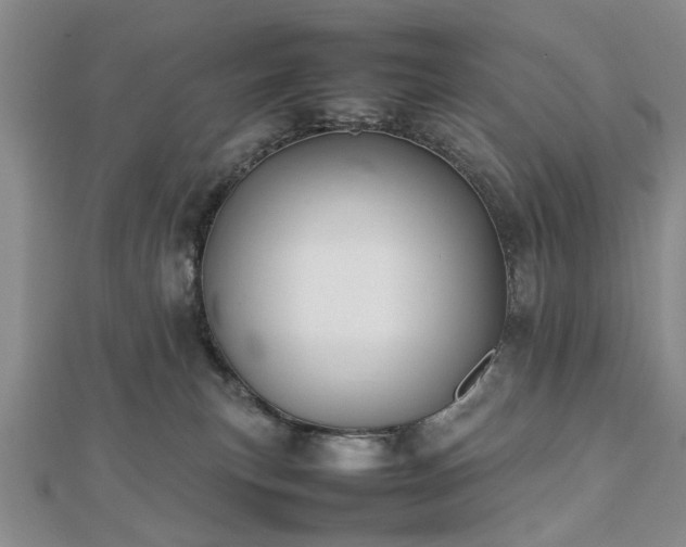 X0000112470183200908241241