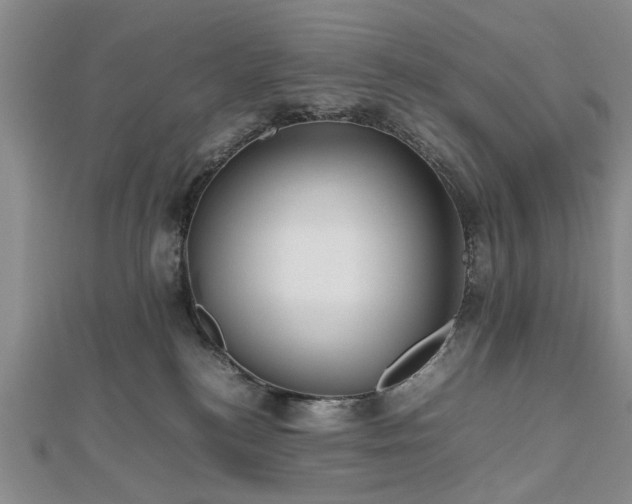 X0000112470184200908241241