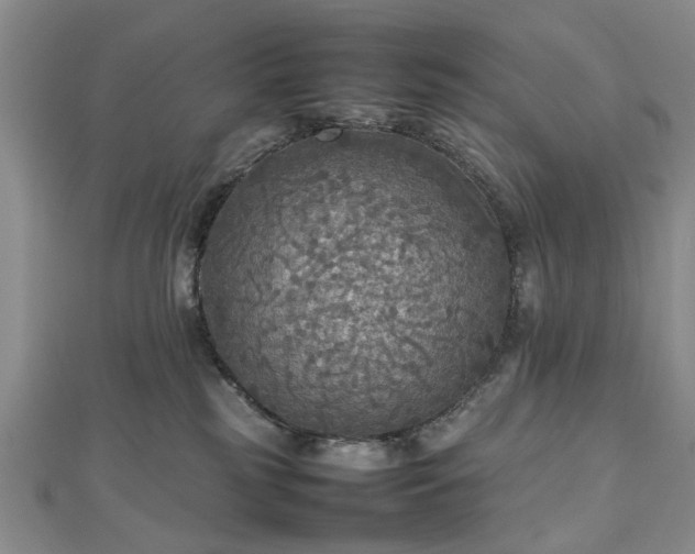 X0000112470185200908241241