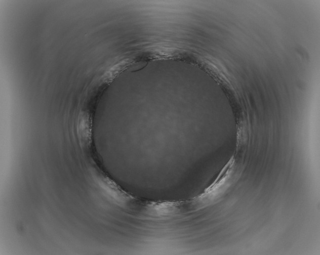 X0000112470186200908241241