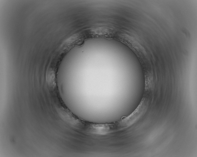 X0000112470187200908241241