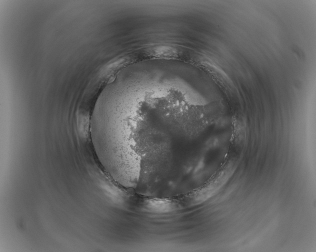 X0000112470189200908241241