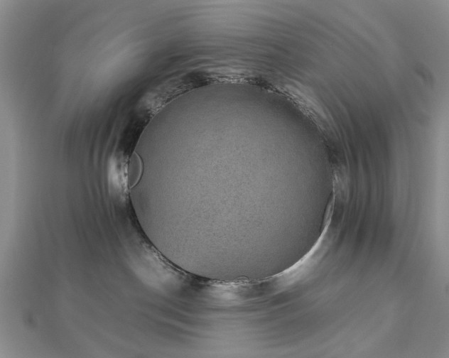 X0000112470190200908241241