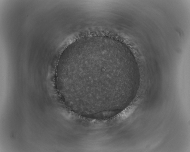 X0000112470192200908241241