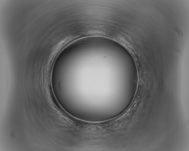 X0000112470193200908241240