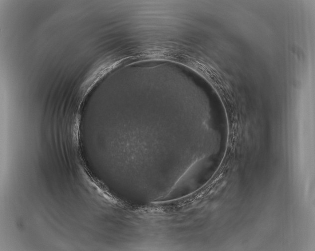 X0000112470194200908241240