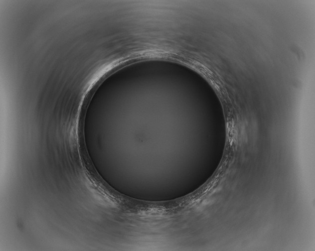 X0000112470196200908241240