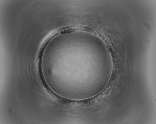 X0000112470197200908241240