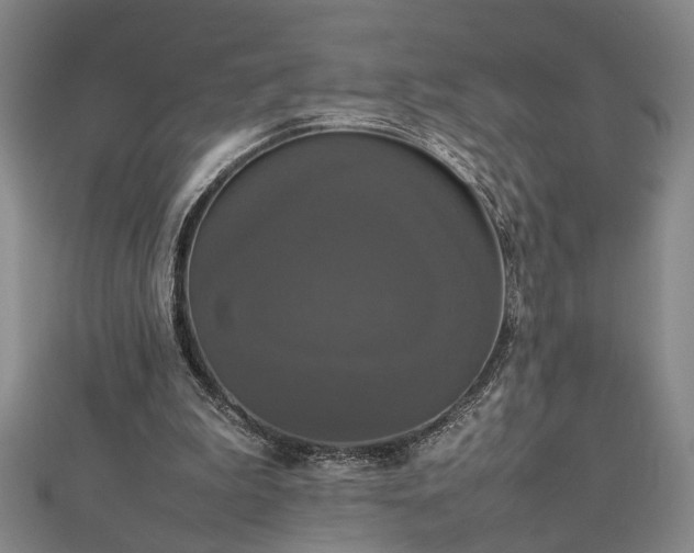 X0000112470199200908241240