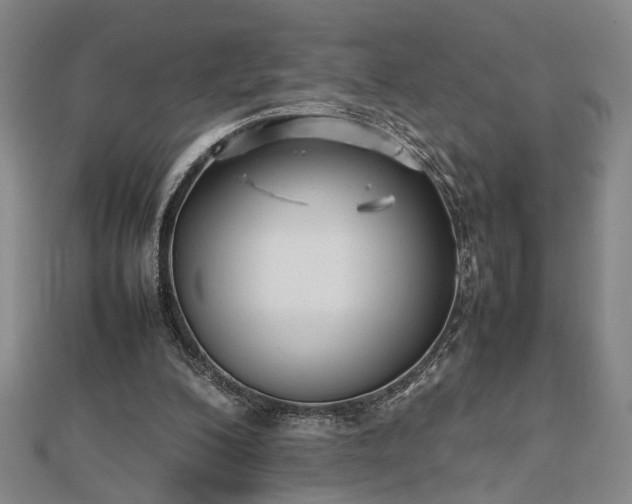 X0000112470200200908241240