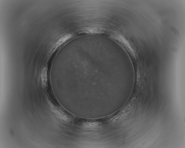 X0000112470202200908241240