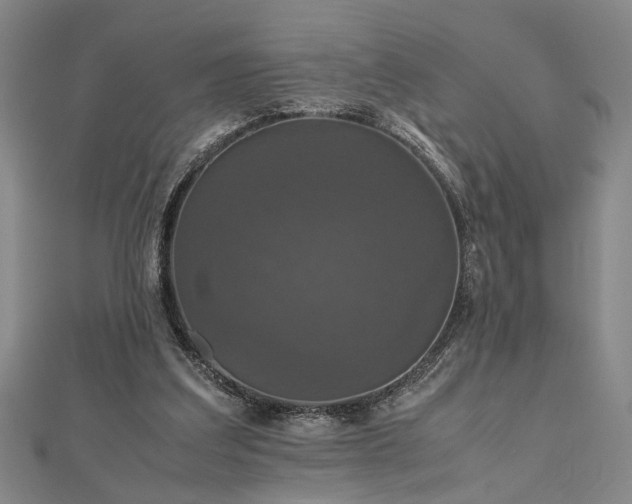 X0000112470203200908241240