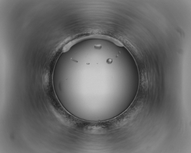 X0000112470208200908241240