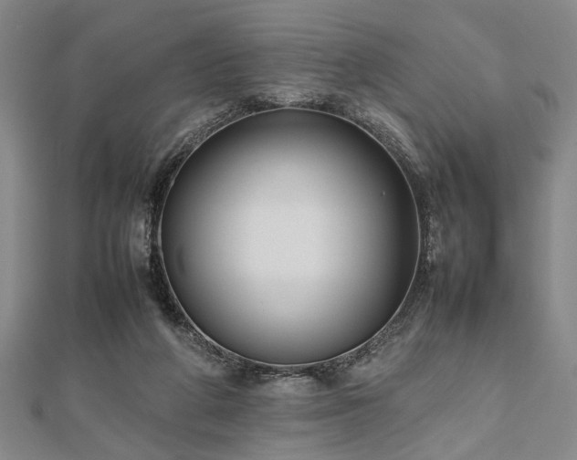 X0000112470210200908241240