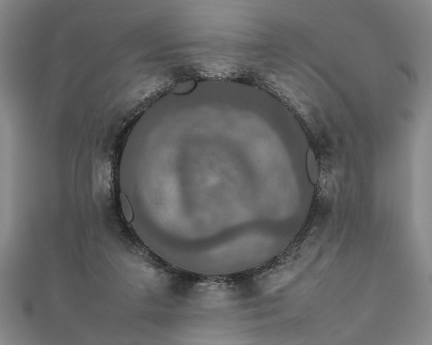 X0000112470211200908241240