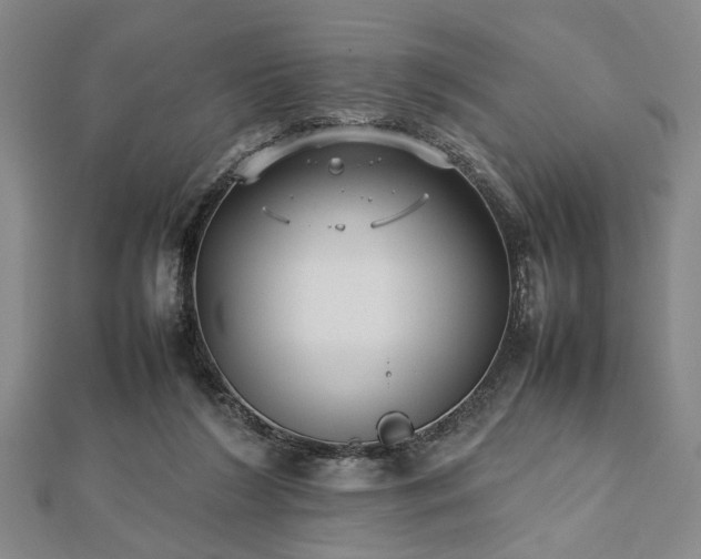 X0000112470212200908241240