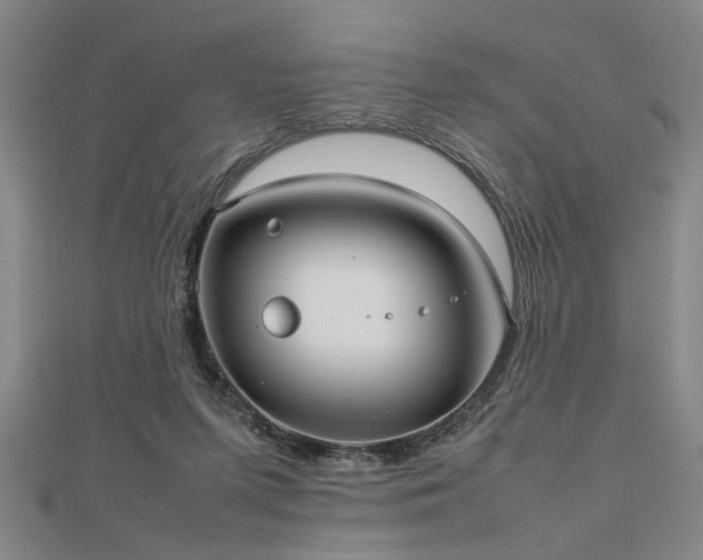 X0000112470215200908241240