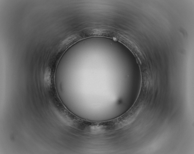 X0000112470216200908241240