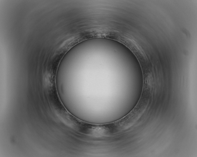 X0000112470218200908241240