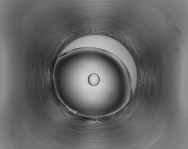 X0000112470220200908241239