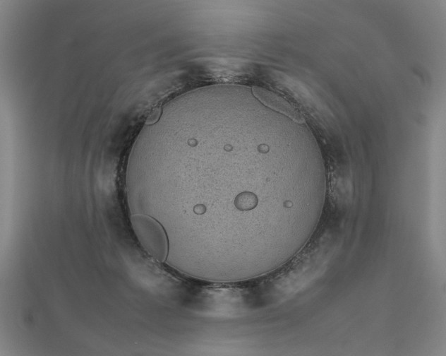 X0000112470221200908241239