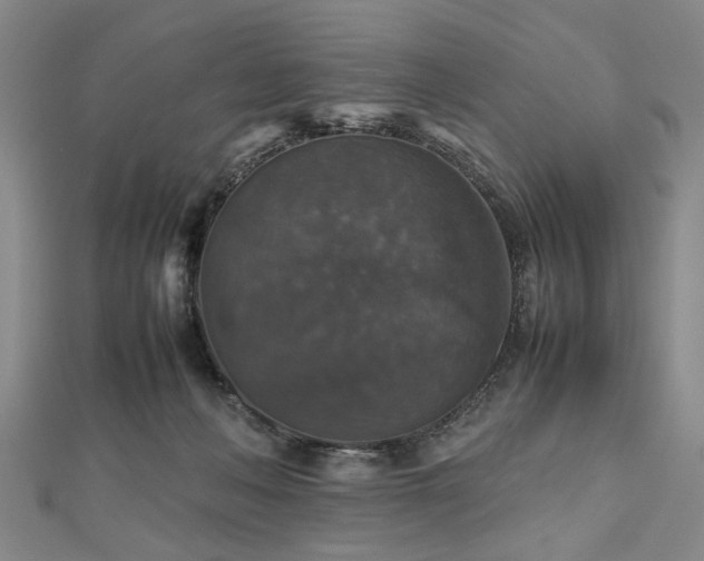 X0000112470222200908241239