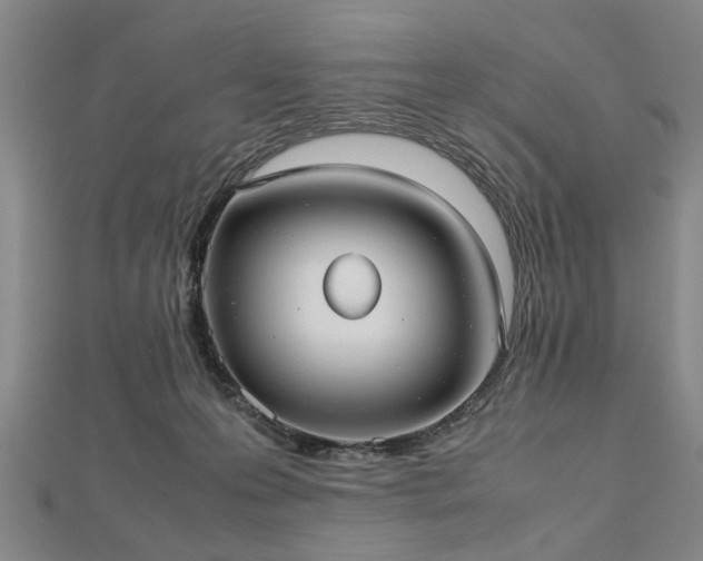 X0000112470223200908241239