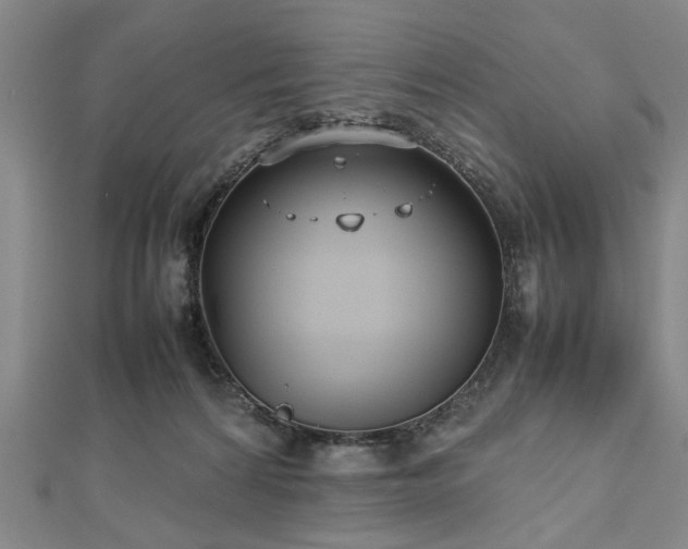 X0000112470224200908241239