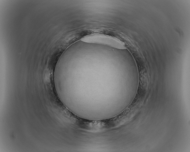 X0000112470225200908241239