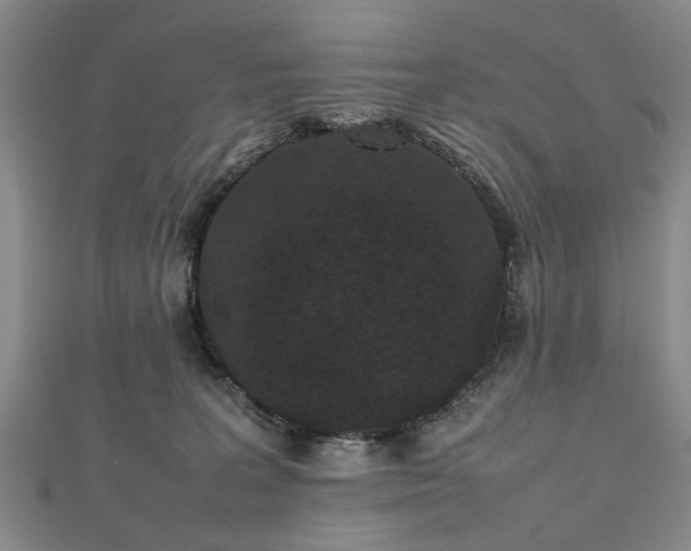 X0000112470227200908241239