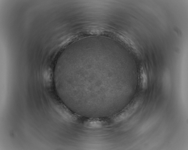 X0000112470228200908241239