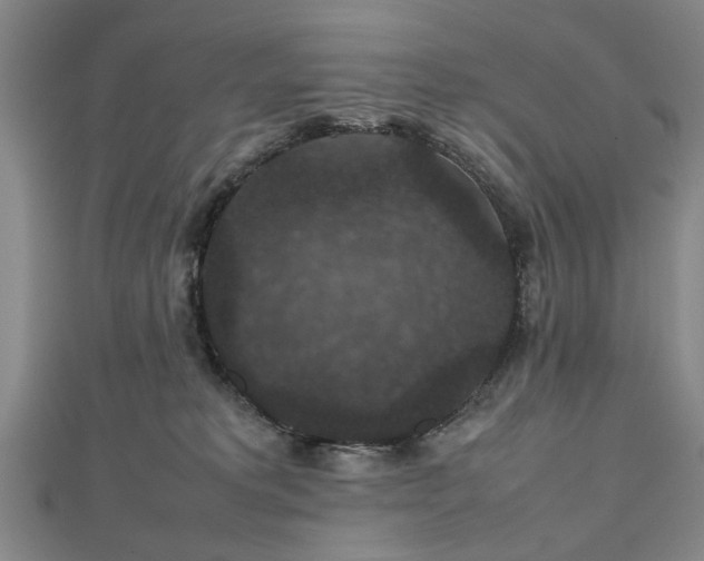 X0000112470229200908241239