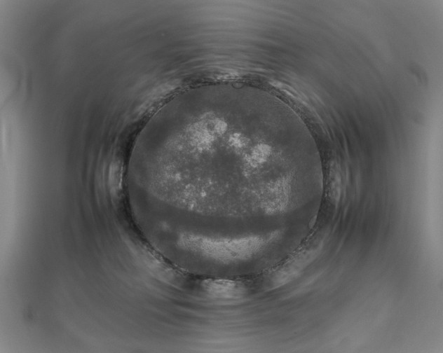 X0000112470230200908241239